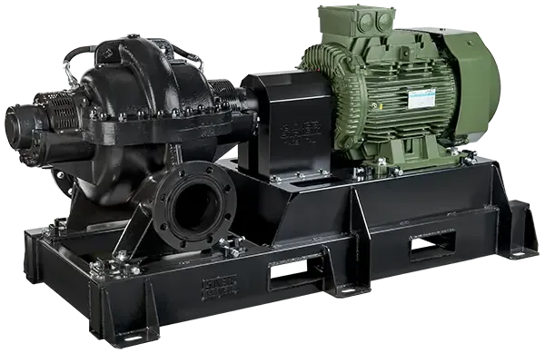 SKDZ variant 5 motor-pump assembly