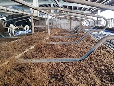 卫生化处理的固体部分