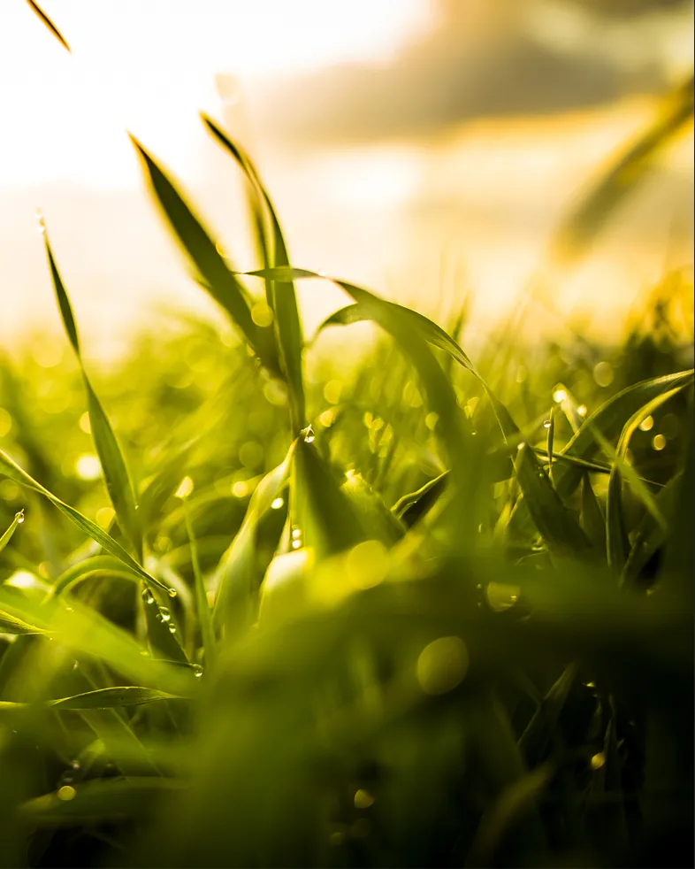 Green Environmental Protection