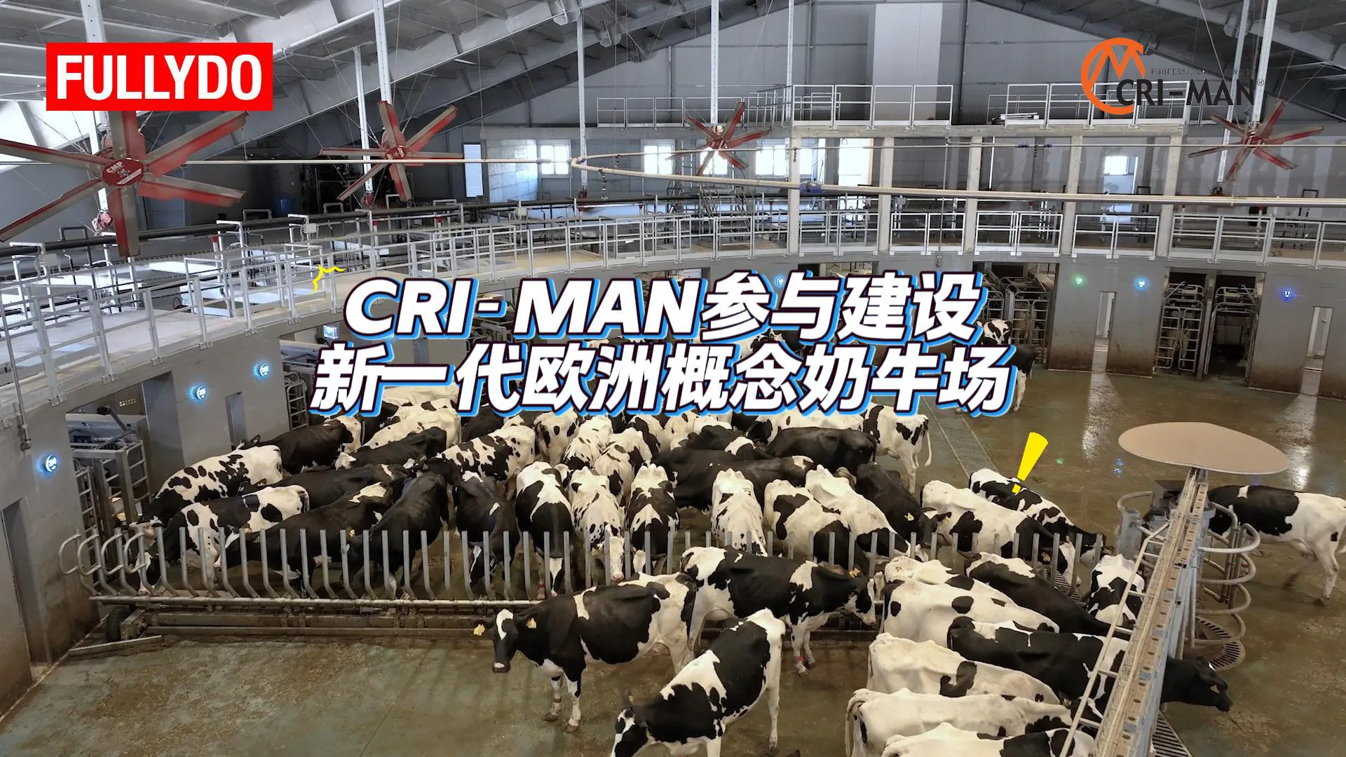 欧洲新一代智能奶牛场落地！CRI-MAN 以科技重构牧场可持续生态