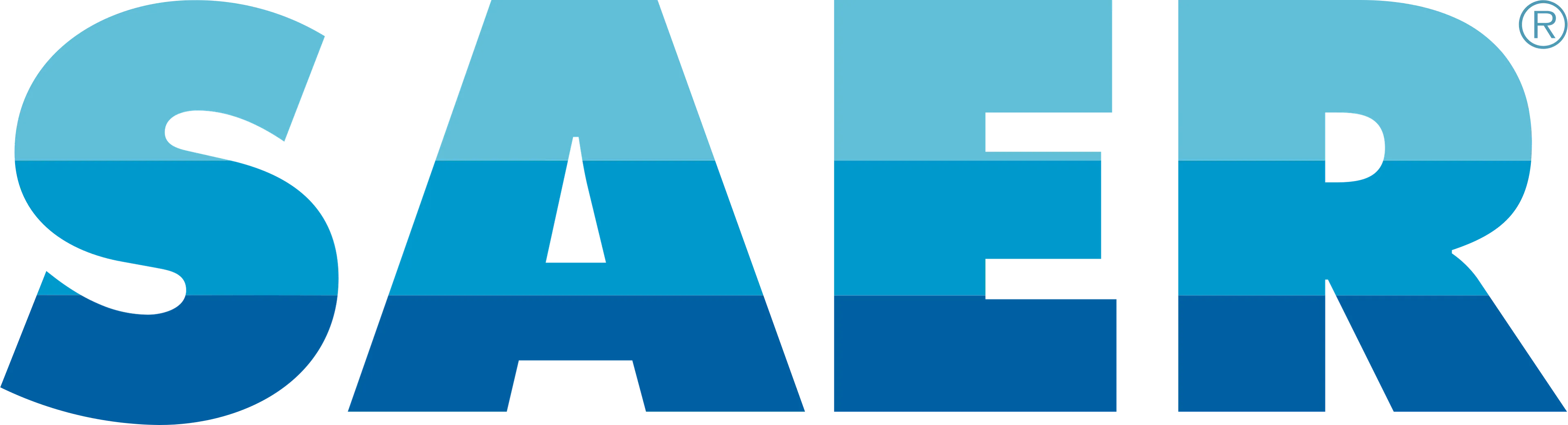 SAER Logo