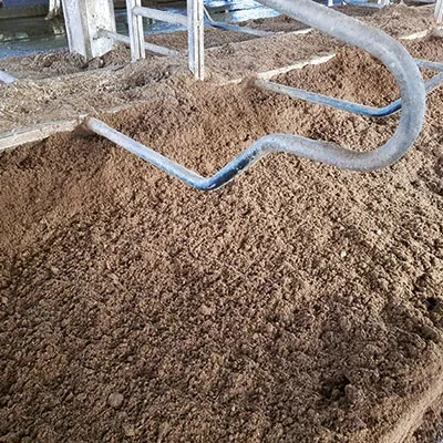 动物福利以及奶牛健康